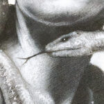 Carta Da Parati Special Edition Giuditta - Inkiostro Bianco - immagine 2