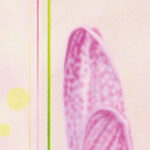 Carta Da Parati Briskly - Inkiostro Bianco - immagine 2