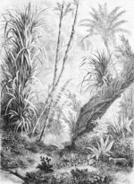 Carta Da Parati Foresta - Inkiostro Bianco - immagine 3