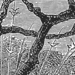 Carta Da Parati Vanity - Inkiostro Bianco - immagine 2