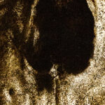 Carta Da Parati Special Edition Nihil II - Inkiostro Bianco - immagine 3