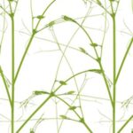 Carta Da Parati Chill - Wall&Decò - immagine 2