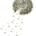 Carta Da Parati Monsoon - Wall&Decò - immagine 2