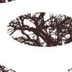 Carta Da Parati Elliptcal Forest - Wall&Decò - immagine 2