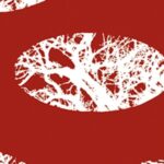 Carta Da Parati Elliptcal Forest - Wall&Decò - immagine 3