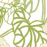 Carta Da Parati Amazon - Wall&Decò - immagine 3