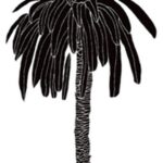 Carta Da Parati Hula Coconut - Wall&Decò - immagine 2