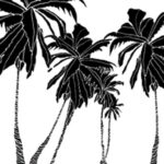 Carta Da Parati Hula Coconut - Wall&Decò - immagine 3