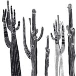 Carta Da Parati Desert Spirit - Wall&Decò - immagine 3