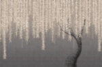 Carta da Parati Willow - Londonart - immagine 2
