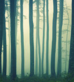 Carta da Parati In The Absense Of The Truth - Londonart - immagine 2