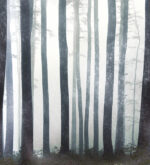 Carta da Parati In The Absense Of The Truth - Londonart - immagine 3