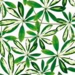 Carta Da Parati Jungle - Wall&Decò - immagine 2