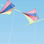 Carta Da Parati Fun - Wall&Decò - immagine 3